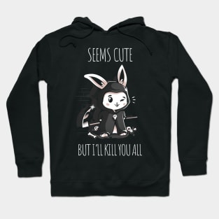 Seems Cute Hoodie